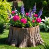 Turning a tree stump into a planter