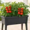 Best Tomato Planter Picks for Easy Home Gardening