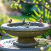 Bird Bath for Outside to Keep Your Feathered Friends Happy