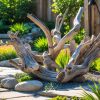 Driftwood Art for Garden Ideas to Brighten Your Outdoor Space