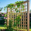 Garden Trellis for Growing Climbing Plants with Style