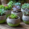 Mini Hypertufa Succulent Pots